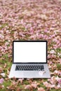 Laptop computers with pink flowers