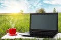 Laptop and cup of hot coffee on the background picturesque nature