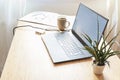 Laptop on a desk, beside it a plant, coffee and ring binder in warm light, small workspace in home office for business, internet