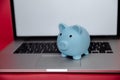 Laptop device and money box piggy in the pink room.