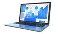 Laptop displaying business data graphs Royalty Free Stock Photo