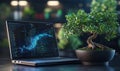 Laptop displaying data analytics next to a bonsai tree in modern workspace