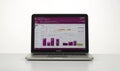 Laptop displaying data graphs Royalty Free Stock Photo