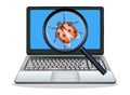Laptop found computer bug Royalty Free Stock Photo