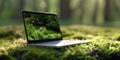 laptop on grass