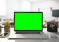 Laptop green screen, background green.