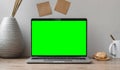 Laptop green screen, background green.