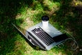 Laptop with headset of mobile phone and coffee to go on green grass. agile business. Online study. summer vibes. Relax Royalty Free Stock Photo