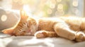A laptop at home has its keyboard occupied by a sleeping cute ginger cat Royalty Free Stock Photo