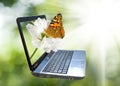 Laptop image on a green background. Royalty Free Stock Photo