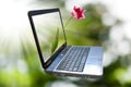 Laptop image on a green background. Royalty Free Stock Photo