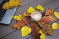 Laptop keyboard, a cup of cappuccino among the collection of multicolored bright fallen autumn leaves