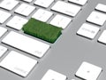 Laptop keyboard with green grass on enter key