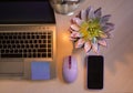 laptop keyboard, succulent flower, mobile phone. office desk, modern digital technology. internet communication Royalty Free Stock Photo