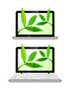 Laptop with leaves on white background Royalty Free Stock Photo