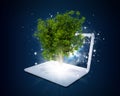 Laptop with magical green tree and rays of light