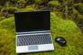 Laptop on a moss Royalty Free Stock Photo