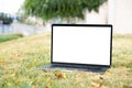 Laptop outside concept. Empty copy space, blank screen mockup. Soft focus laptop in nature background. Ecology travel Royalty Free Stock Photo