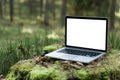 Laptop outside concept. Royalty Free Stock Photo