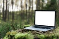 Laptop outside concept. Royalty Free Stock Photo