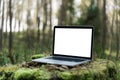 Laptop outside concept. Royalty Free Stock Photo