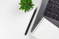 Laptop, plant, pen, notebook on white background. Workspace concept.