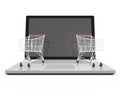 Laptop and Shopping Carts Royalty Free Stock Photo