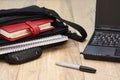 Laptop Shoulder Bag