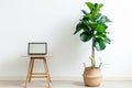 A laptop sits open on a wooden table, next to a vibrant green potted plant. Minimalist home office desk workspace Royalty Free Stock Photo