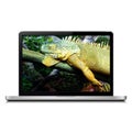 Laptop with sleeping iguana on screen Royalty Free Stock Photo