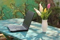 The laptop stands on a green wooden table in the garden. White tulips in a white vase. Royalty Free Stock Photo