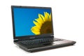 Laptop and sunflower