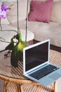 Laptop and a vase with an orchid stand on a coffee table, workplace at home, freelance, blogger, marketing