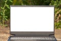 laptop with white screen on a wooden table in the park in the sun on a green blurred background, laptop on the street in Royalty Free Stock Photo