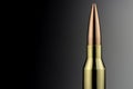 A 338 Lapua Magnum rifle cartridge Royalty Free Stock Photo