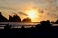 Lapush Sunset, Baby! Hikers & Driftwood Silhouettes at Beach 1, LaPush,Washington Royalty Free Stock Photo