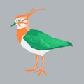 Lapwing Bird clip art