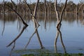 Lara wetlands in outback Queensland