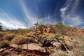 Larapinta Trail - on the track