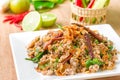 Larb duck Thai food