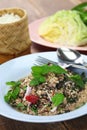 Larb moo, pork type of Lao minced meat salad