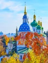 The larch branch in front of Vydubychi Monastery domes, Kyiv, Ukraine Royalty Free Stock Photo