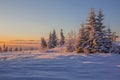 Larch and fir trees covered with frost at sunrise on the slope in Tatranska Lomnica, popular travel destination and ski resort in Royalty Free Stock Photo