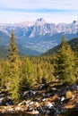 Larch forest, Cortina d Ampezzo and Croda Rosa