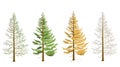 Larch in four seasons. Larch in winter, spring, summer, autumn. Royalty Free Stock Photo