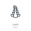 Larch icon. Thin linear larch outline icon isolated on white background from nature collection. Line vector larch sign, symbol for