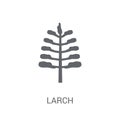 Larch icon. Trendy Larch logo concept on white background from N