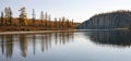 Larch Northern taiga on the banks of the Siberian river in autumn