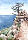 Larch on the steep shore of Lake Baikal, graphic and watercolor drawing, travel sketch