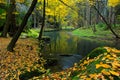 Larch stone with autumn leaves in green landscape with river and trees, forest in the background, Kamenice river, in czech nationa Royalty Free Stock Photo